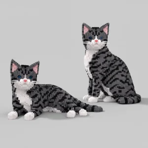 2 in 1 Tabby kat | Bouwsteentjes