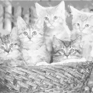 Katten in mand | Dot painting