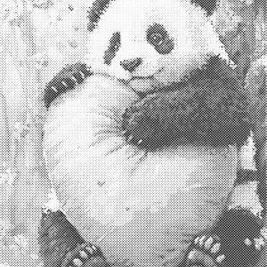 Panda met kussen | Dot painting