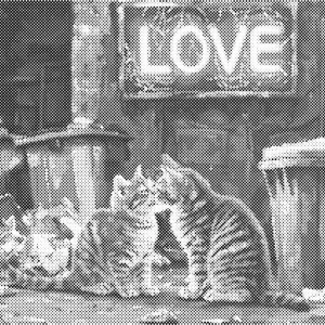 Verliefde katten | Dot painting
