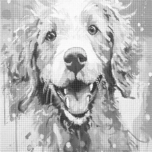 Vrolijke hond | Dot painting