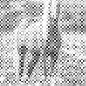 Verliefde paarden | Dot painting